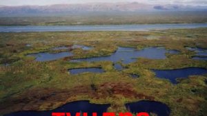 Природа элементы звук