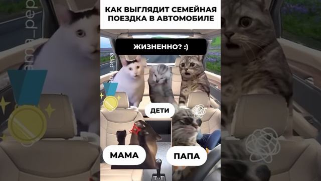 VID-20240719-WA0000.mp4 смотреть онлайн