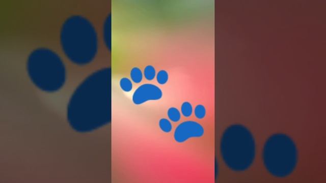 Стих! Друзьям! Стихи про жизнь и про любовь! смотреть онлайн