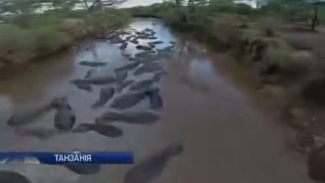 Вертолет видео камера от британского подростка смотреть онлайн