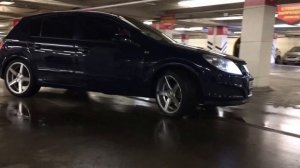 Vossen cv3