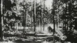 Мы факельщиков в плен не брали