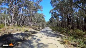4K Telegraph Road Otway Forest Victoria Honda Africa Twin
