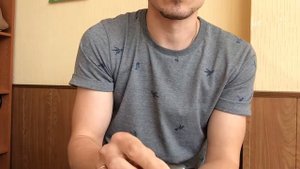 Магнитные цикады