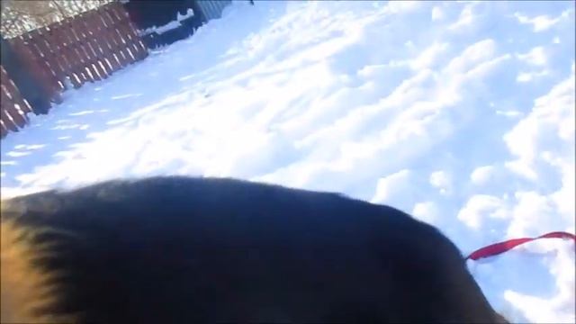 Иоганн 22 12 18 смотреть онлайн