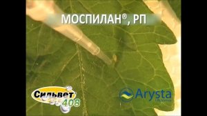 Применение Сильвет® 408 совместно с инсектицидами