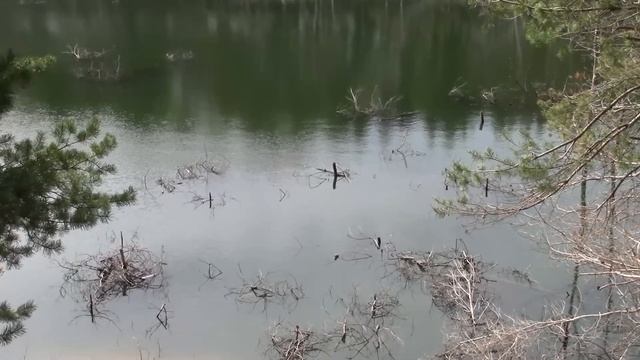 Живописный каньон Отдых для души Татьяна Беспалова смотреть онлайн