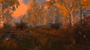 | Skyrim LE | | Крутая графика без ENB | | Для средних и слабых пк |