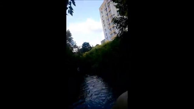 ДЕГРАДАЦИЯ человека