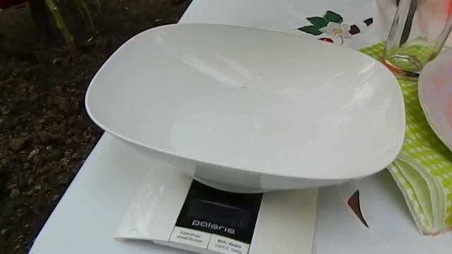 Легендарный сорт - польская слива тети Сварло смотреть онлайн