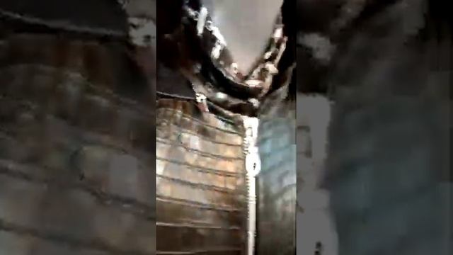 куртка из кожи КРОКОДИЛА отстёг рукава и капюшон кашемир "с волной" +7(926)118-2214 WALTER croco la смотреть онлайн