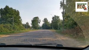 СТАНЦИЯ ДУМИНИЧИ/прошлое и настоящее/ЭКСКУРСИЯ в детство/СКАЗОЧНЫЙ ЛЕС