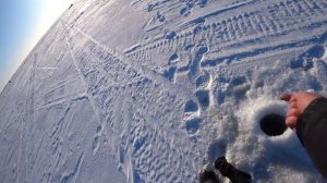 Ловля судака зимой. Рыбалка на ПРЫЩ.