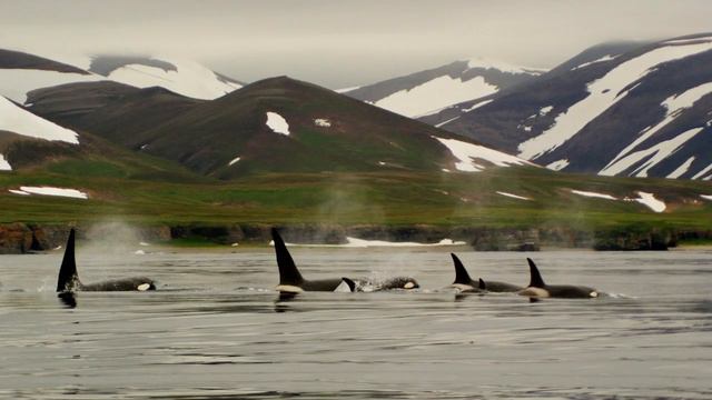 Станиславская Г Б Юный натуралист Заповедные места смотреть онлайн