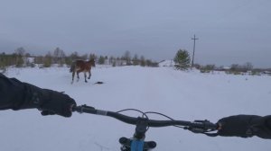 "Зимние велоприключения" 23 декабря снег тает #mtb