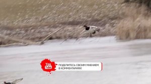 ЭТИ ОШИБКИ СОВЕРШАЮТ МНОГИЕ ОХОТНИКИ! Топ 5 ошибок при расстановке чучел