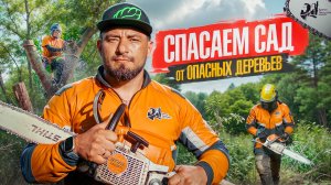 УХОД ЗА ВОЗРАСТНЫМИ ДЕРЕВЬЯМИ Х ОБРЕЗКА ВЕТОК Х АРБОРИСТЫ