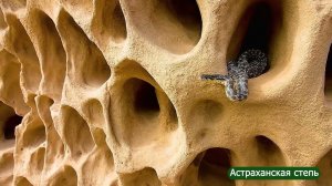 Богдо.Поющие скалы.Звуки природы