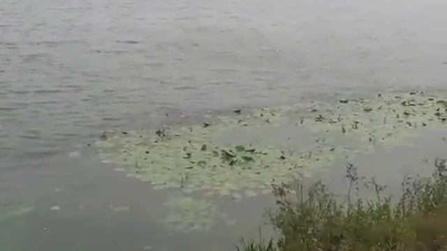 Все в дыму. 4 августа 2010. смотреть онлайн