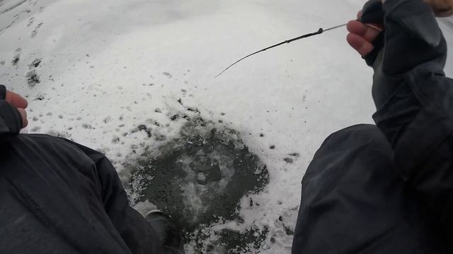 ОКУНЬ КЛЮВАВ як з КУЛЕМЕТА Наловили купу окунів на безмотилку риболовля 2023 смотреть онлайн