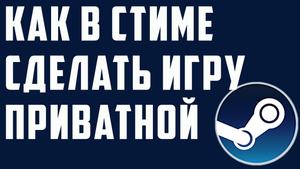 Как в стиме сделать игру приватной