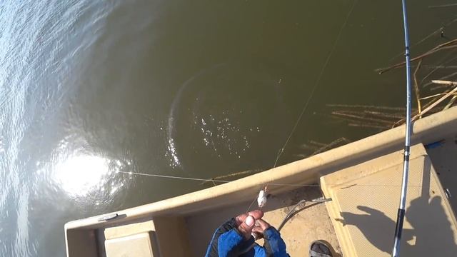 ВОБЛУ ЛОВИМ СОЛИМ и ЕДИМ  Бесконечный клев ВОБЛЫ Ловля по Астрахански