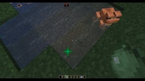 Minecraft | Гайд по разведению лягушек