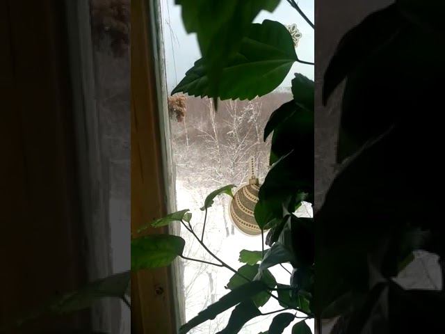 16 декабря 2022 г. смотреть онлайн