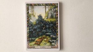 The Druid Plant Oracle | Flip Through