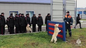 Кадетов МЧС пригласили на экскурсию в Тульский спасательный центр