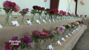 Adelman Peony Gardens