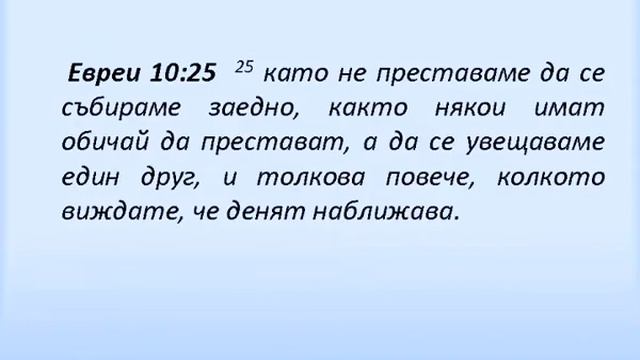 Кой е най-бързия хищник на земята - Веселин Антонов смотреть онлайн
