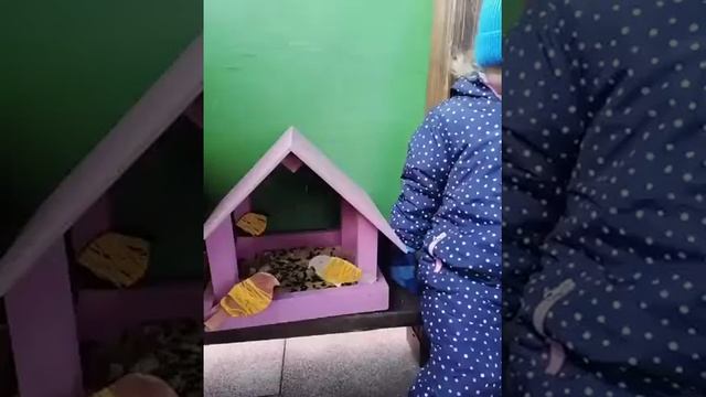 Экологический праздник "Синичкин день" Воспитатель Герасименко Д. С. смотреть онлайн