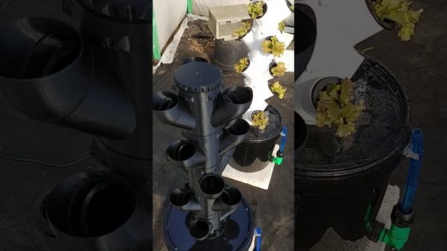 Создайте оазис зелени прямо у себя дома с гидропоными системы Vertical