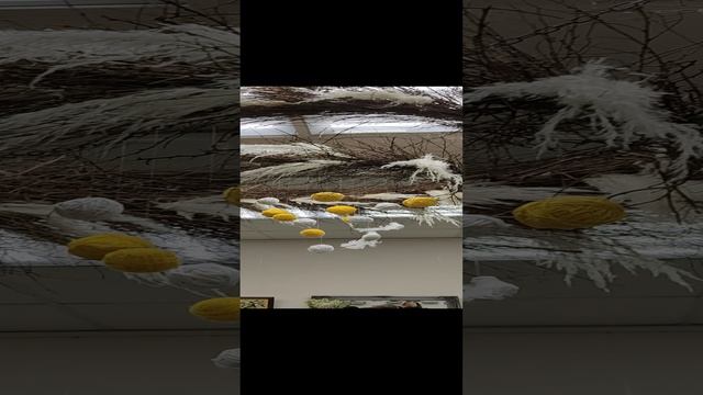 Выставка тюльпанов и сирени
