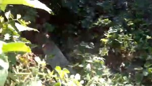 Водопровод на садовом участке своими руками