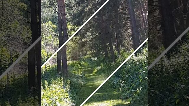 Учимся #принятию))   МЕДИТАЦИЯ ПРИЯТИЯ