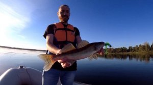 Волга. Ловля судака и окуня на джиг и отводной поводок. Тест камеры и проверка снаряжения.
