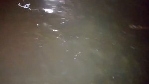 Подтопление подвала частного дома грунтовыми водами. Заглянем, что внутри.