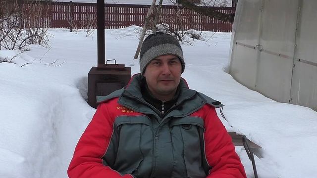 Почему гибнут деревья смотреть онлайн