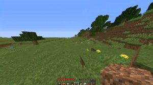 КАК ПОСТАВИТЬ БЛОК В МАЙНКРАФТЕ?