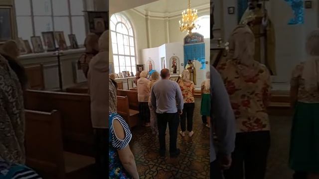 СПб. Покровская больница смотреть онлайн