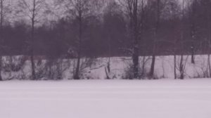 Снегоход Тикси-250 - По пухлячку да в горку !!!