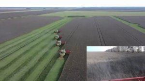 Семеноводческое хозяйство ГК Горкунов