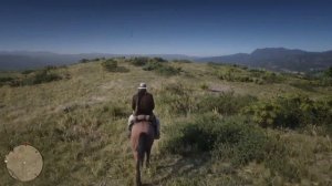 Red Dead Redemptio 2 ГАЙД:ГДЕ НАЙТИ ДИКОГО МУСТАНГА