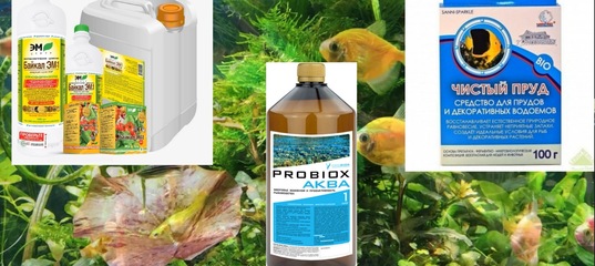 Волшебные бактерии для аквариума. Наука или обман? смотреть онлайн