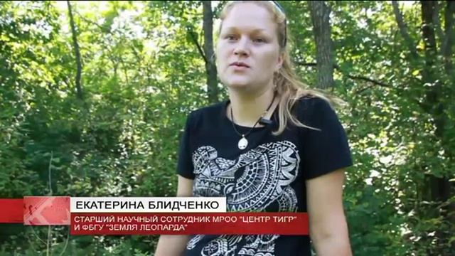 День защиты животных отметили в Уссурийском заповеднике смотреть онлайн