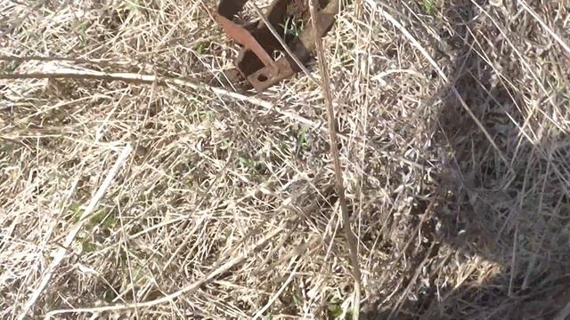 Копаем полевой стан 70 годов #241 смотреть онлайн