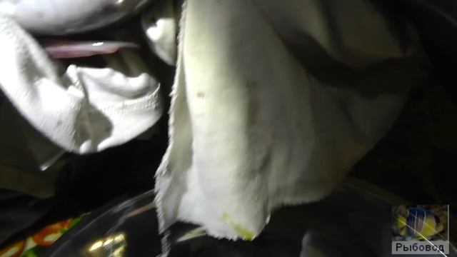 Очередная инкубация клариевого сома ! Regular incubation of catfish