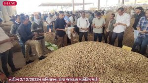 ? live peanuts trading in jasdan marketing yard trading, groundnut price,December 2, 2023